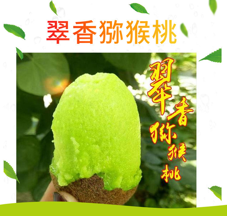 粤迎 【领劵减10元】翠香猕猴桃新鲜水果奇异果