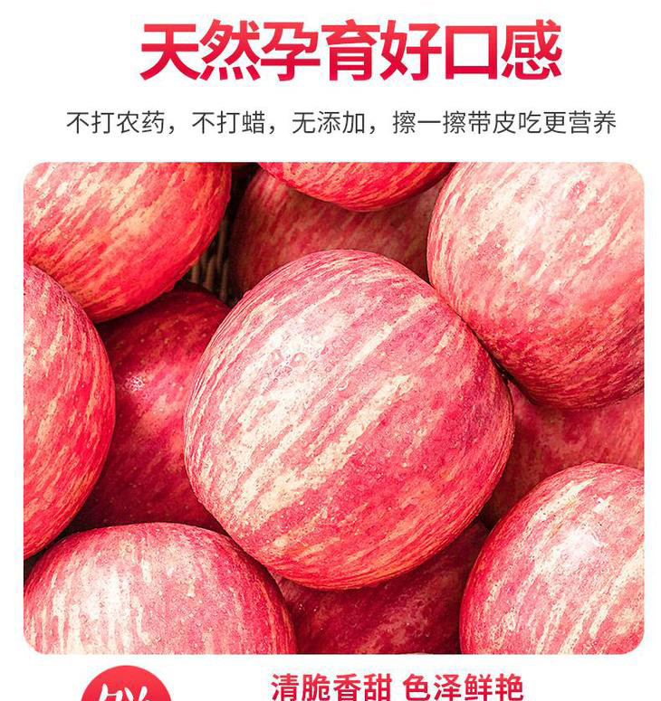 粤迎 【领劵减5元】陕西洛川红富士苹果新鲜富士脆甜水果