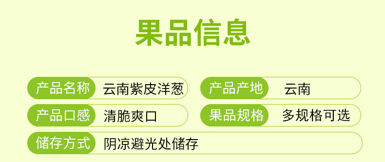 农家自产 云南紫皮洋葱辛辣新鲜蔬菜