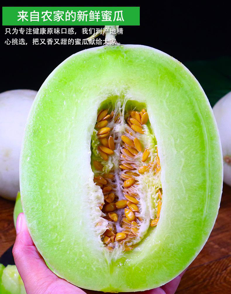 农家自产 玉菇甜瓜新鲜当季水果香瓜