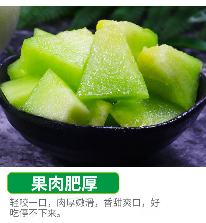 农家自产 玉菇甜瓜新鲜当季水果香瓜