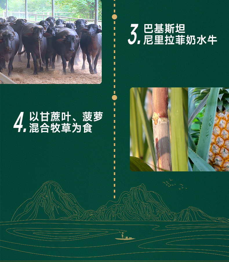 良西农场 广西生牛乳生水牛乳纯牛奶 200ml*10盒