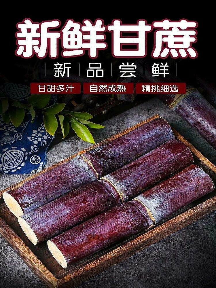 农家自产 广西黑皮甘蔗新鲜应当季水果柑果蔗