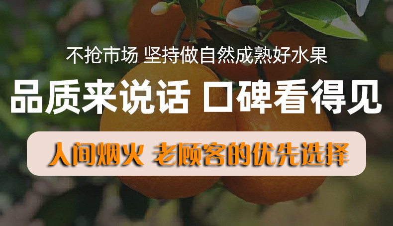 农家自产 江西赣南脐橙水果橙子自家果园现摘现发甜橙当季新鲜水果