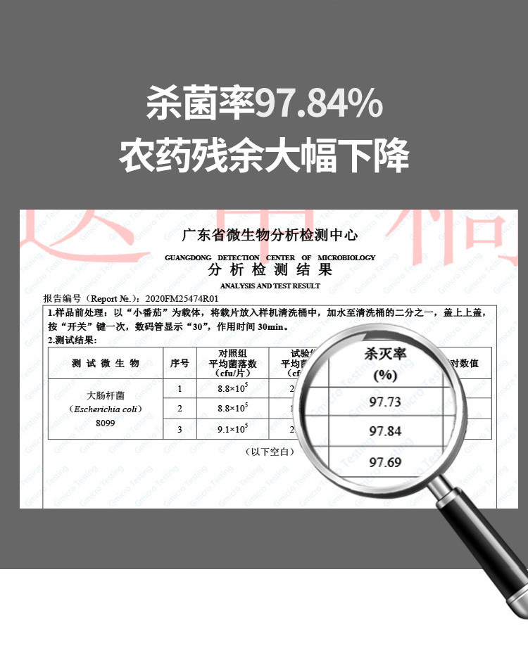 艾贝丽分体式果蔬净化仪 绿色ABL-GS13