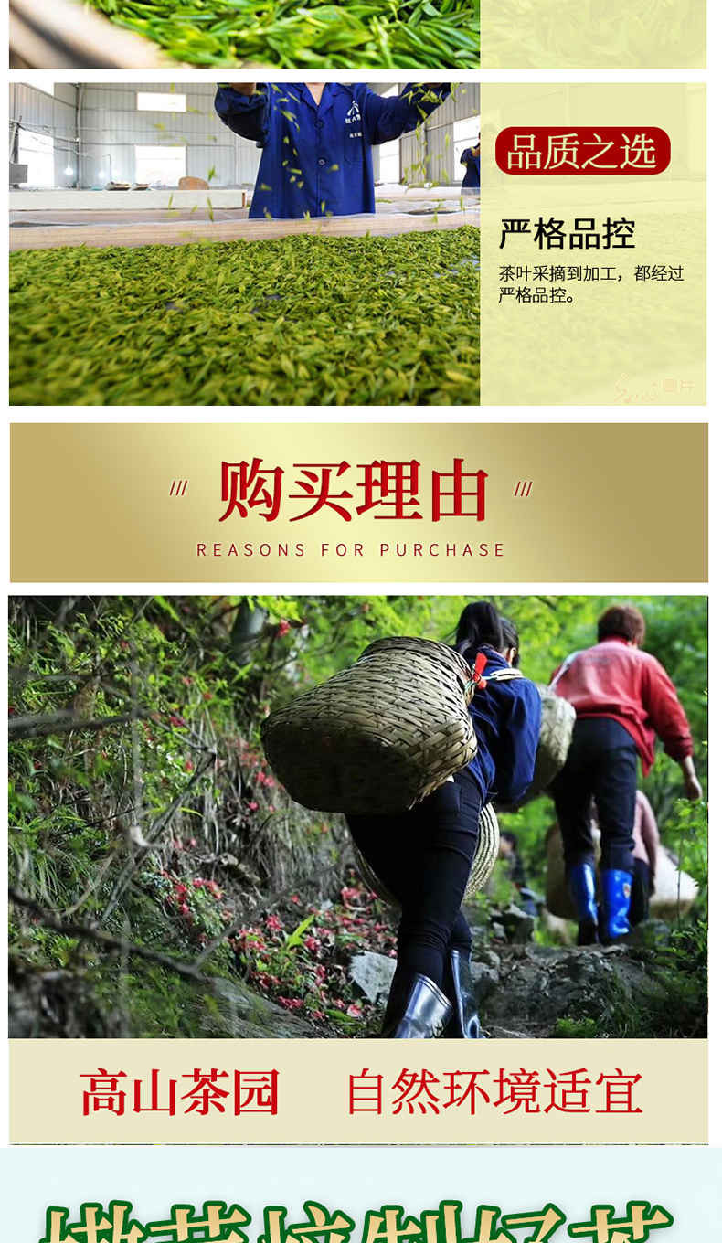 【限量特惠】农夫乡情宜昌特产高山云雾炒青绿茶50g袋装