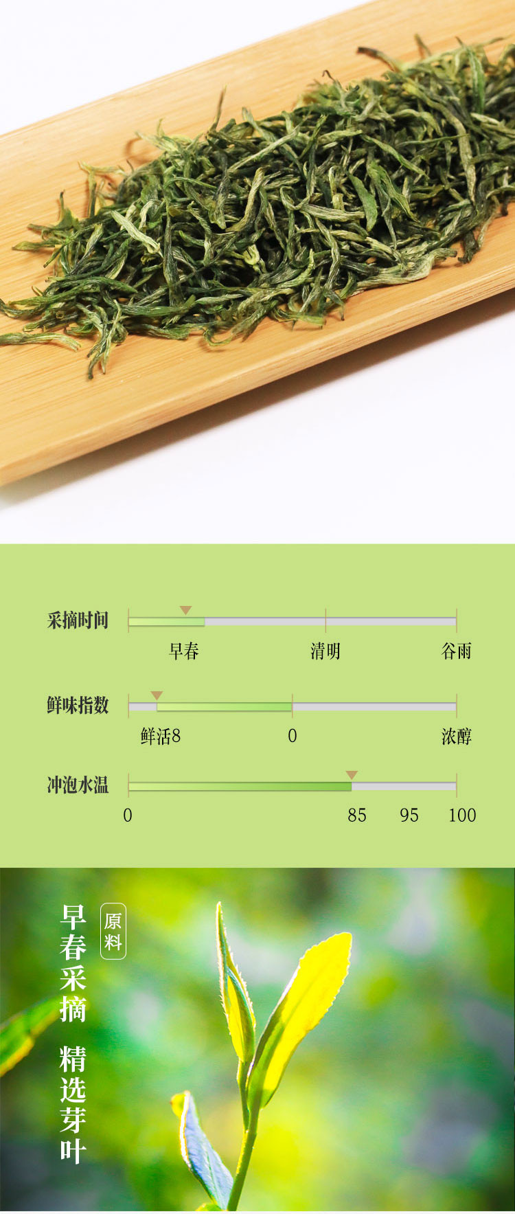 长盛川  宜昌毛尖特级寻茶礼盒