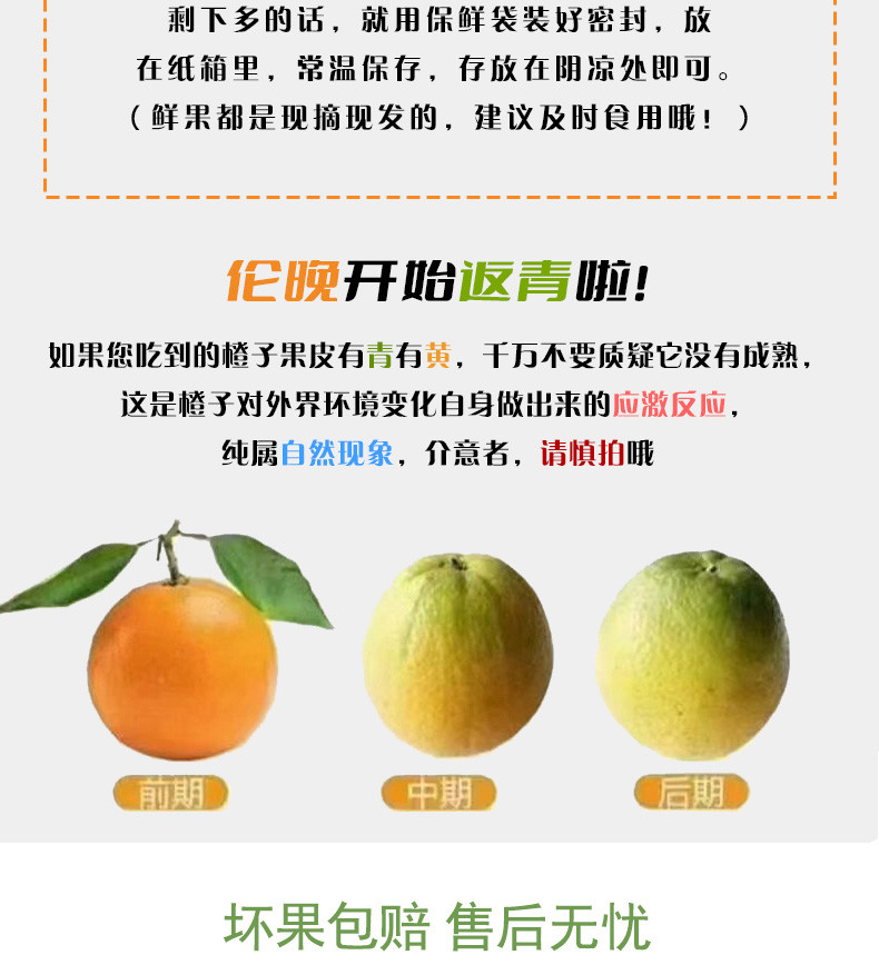 鑫勇泰 秭归伦晚脐橙现摘现发应季水果春橙9斤大果（75-80mm