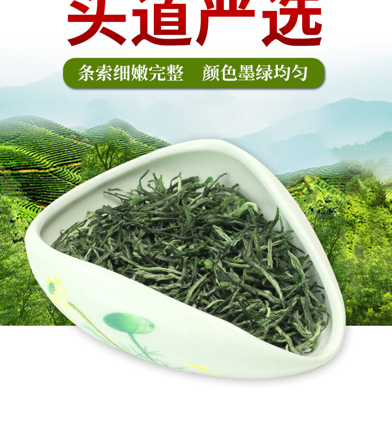 长盛川 罐装毛尖绿茶口粮茶