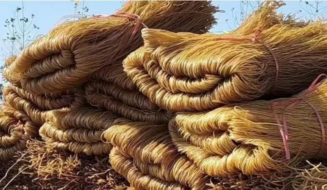 农家自产 红薯粉条10斤装