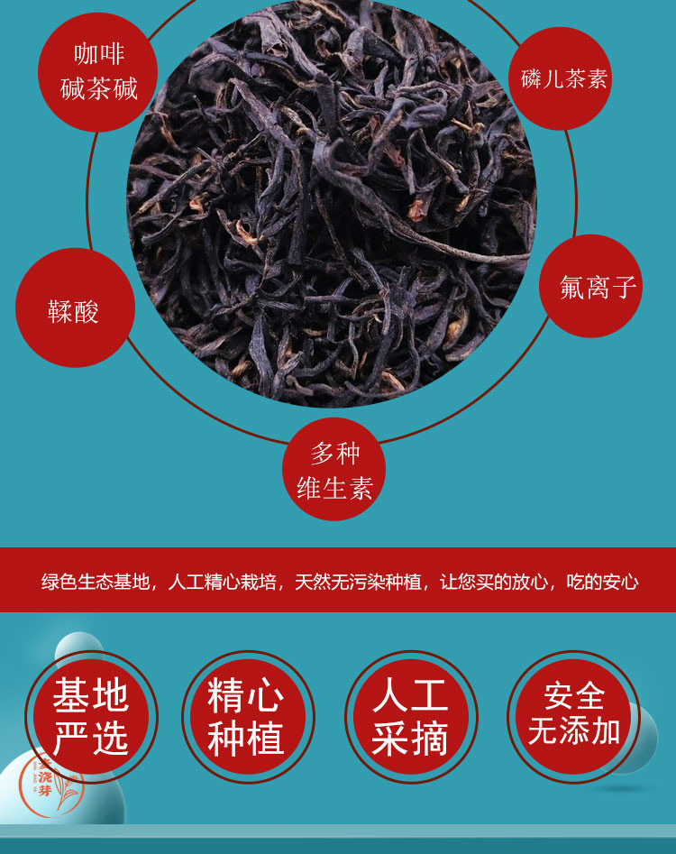 麦浇芽 红茶高山红茶新茶浓醇香甜早春茶包邮250g