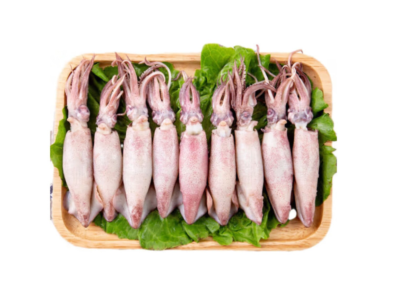  邮政农品 海兔带籽笔管鱼3斤装3盒 个个带籽