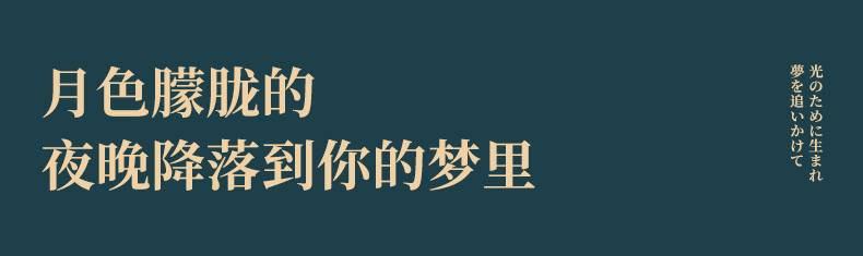 徽羚羊 LED星星灯满天星创意浪漫露营帐篷氛围灯  2米10灯*3串