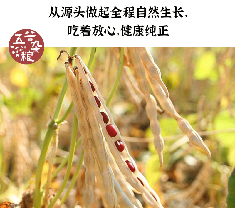 食百道 红豆400g/袋 优质云南杂粮 易煮出沙 颗粒饱满 颜色暗红