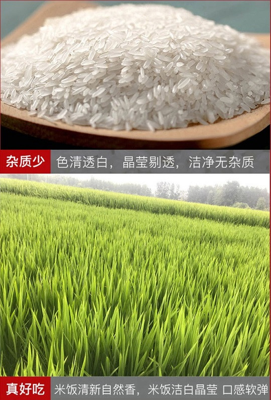 农家自产 弋阳地方特色大米大禾米5kg