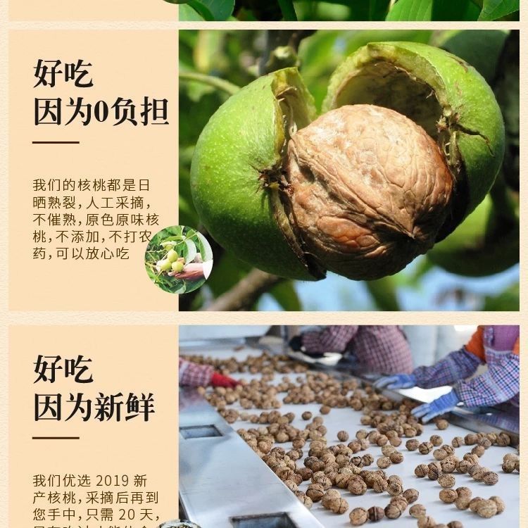 迈者MAIZHE 云南核桃薄皮纸皮山核桃新货多规格孕妇儿童坚果零食批发