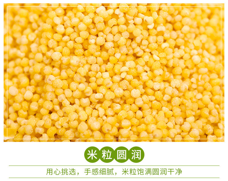 【杂豆】 通榆县满榆东北真空黄小米400g 东北杂粮 非转基因黄小米
