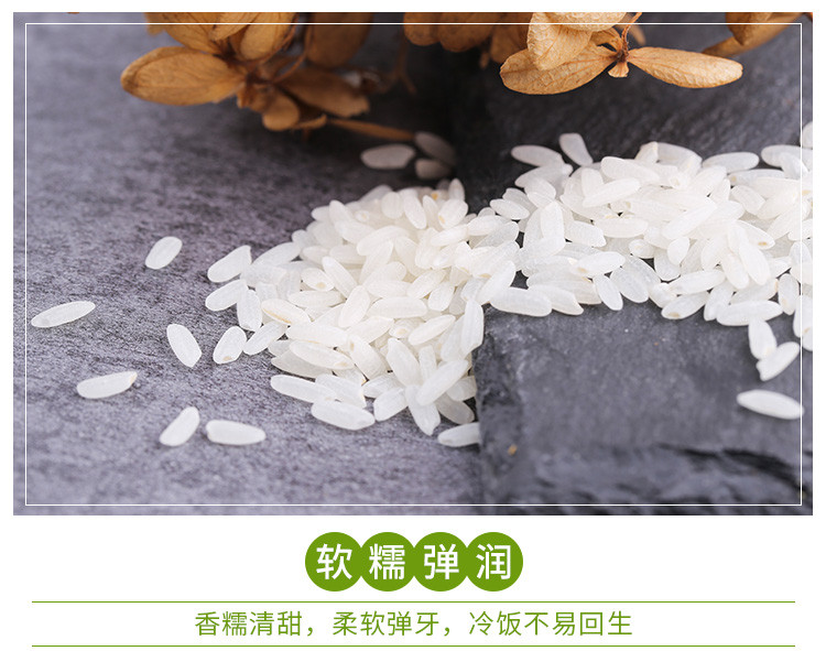 【大米】 通榆县东北稻花香大米1kg 东北大米现磨新米 稻花香米