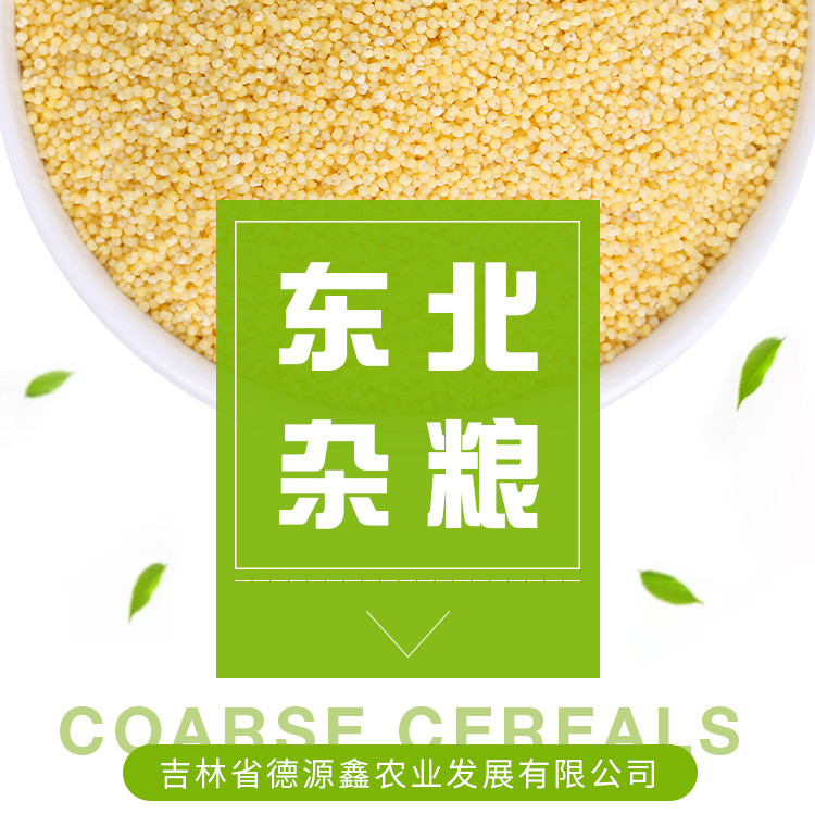 【小米】 通榆县东北小米1kg 东北精选黄小米杂粮小米 优选