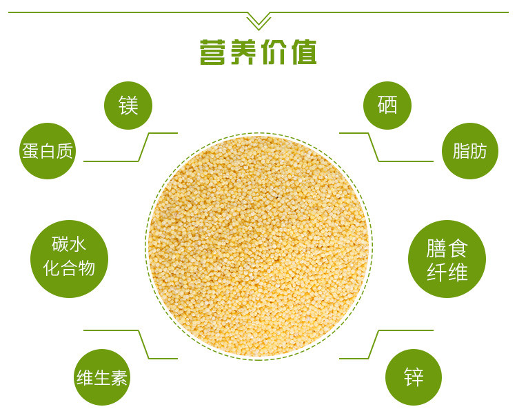 【小米】 通榆县东北小米1kg 东北精选黄小米杂粮小米 优选