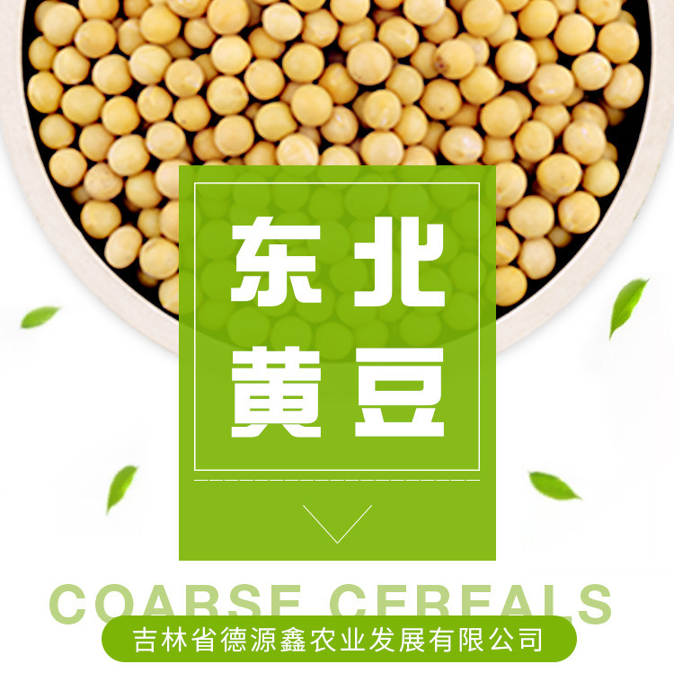 【杂粮组合】 通榆县营养豆浆组合豆（花生+黄豆）