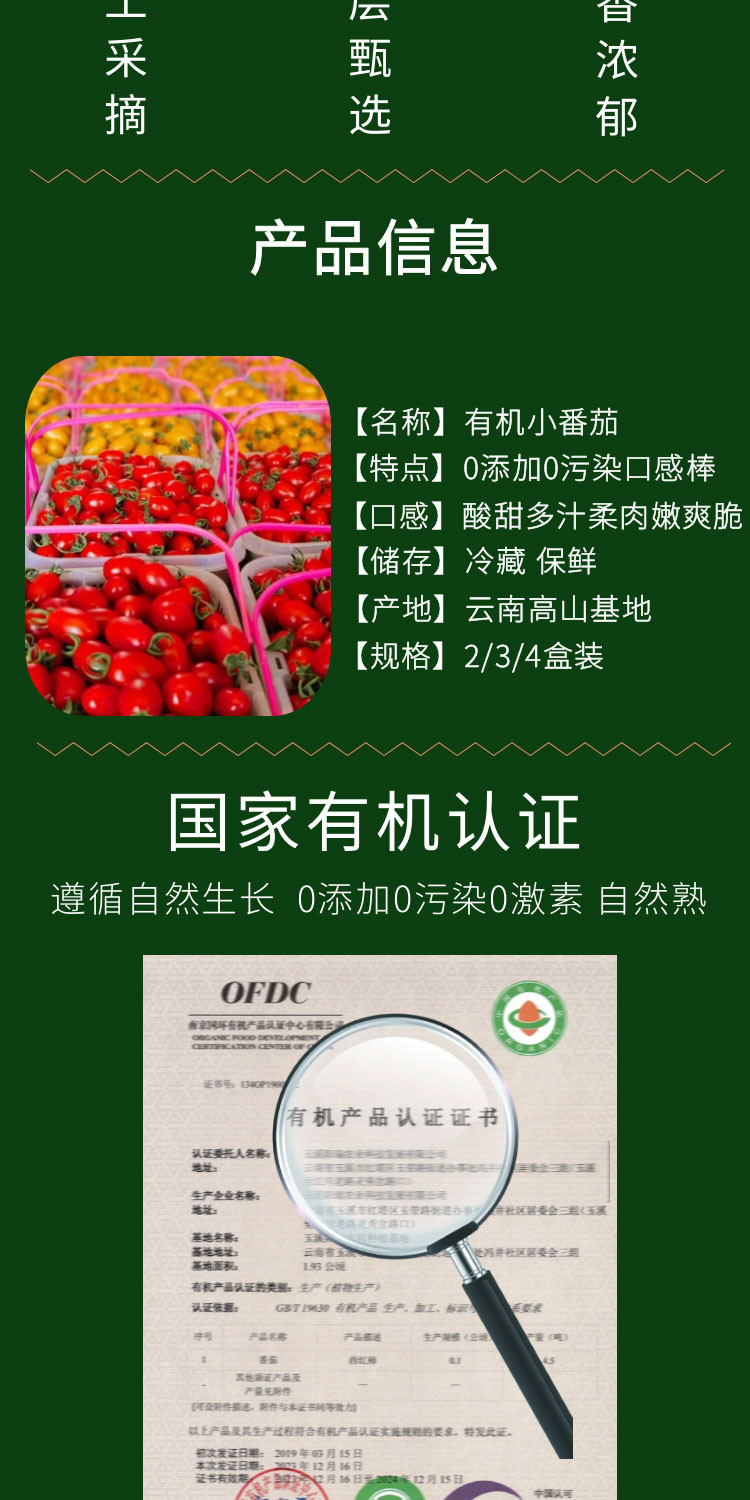 八九十枝花 有机小番茄零污染零添加黄色圣女果每日鲜摘基地500g*4盒