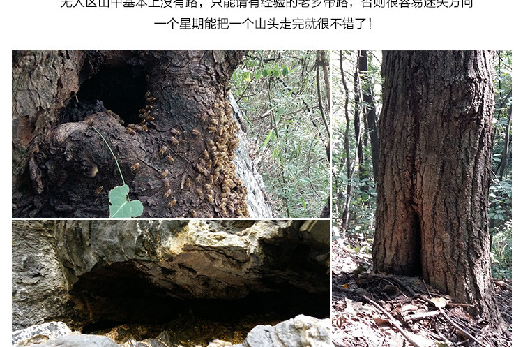 云海映象 神农架高山岩蜜高海拔崖蜜结晶蜜礼盒装500g