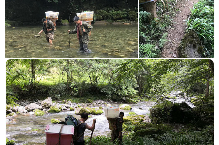 云海映象 神农架高山岩蜜高海拔崖蜜结晶蜜礼盒装500g