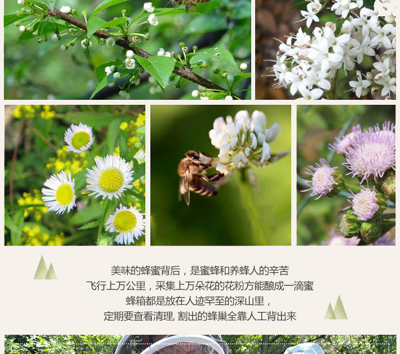 云海映象 神农架百花蜜500g