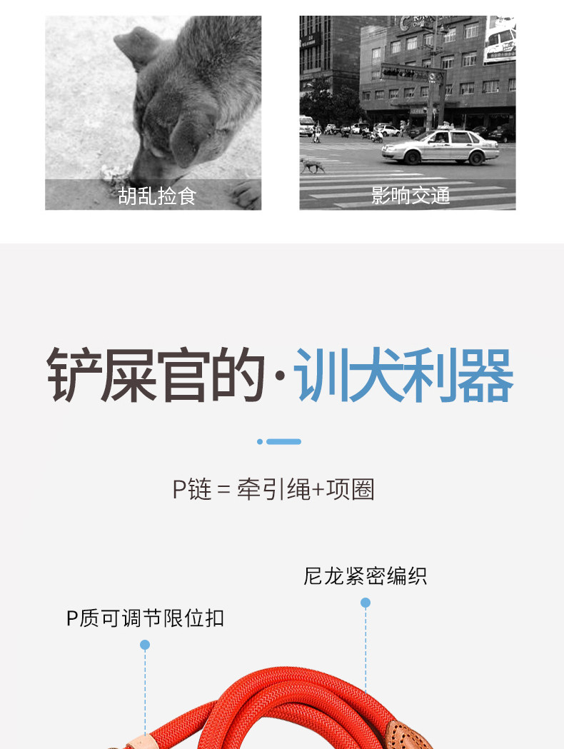 沃蓝 狗狗牵引绳P链可伸缩尼龙耐拉宠物高品质牵引绳