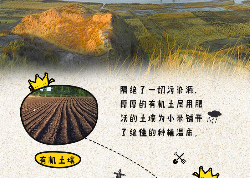 泥河湾 有机黄小米2.5kg养生粥 杂粮农家小米吃的 粮食小米粥