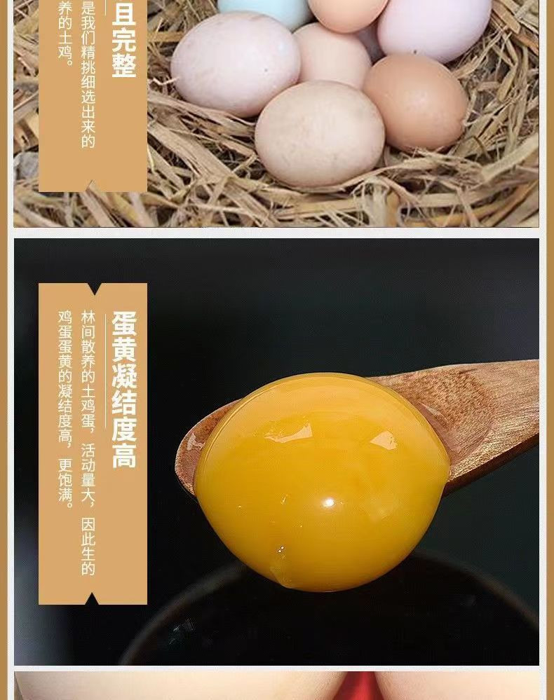 茶木村 山庄散养水果鸡蛋50个/盒