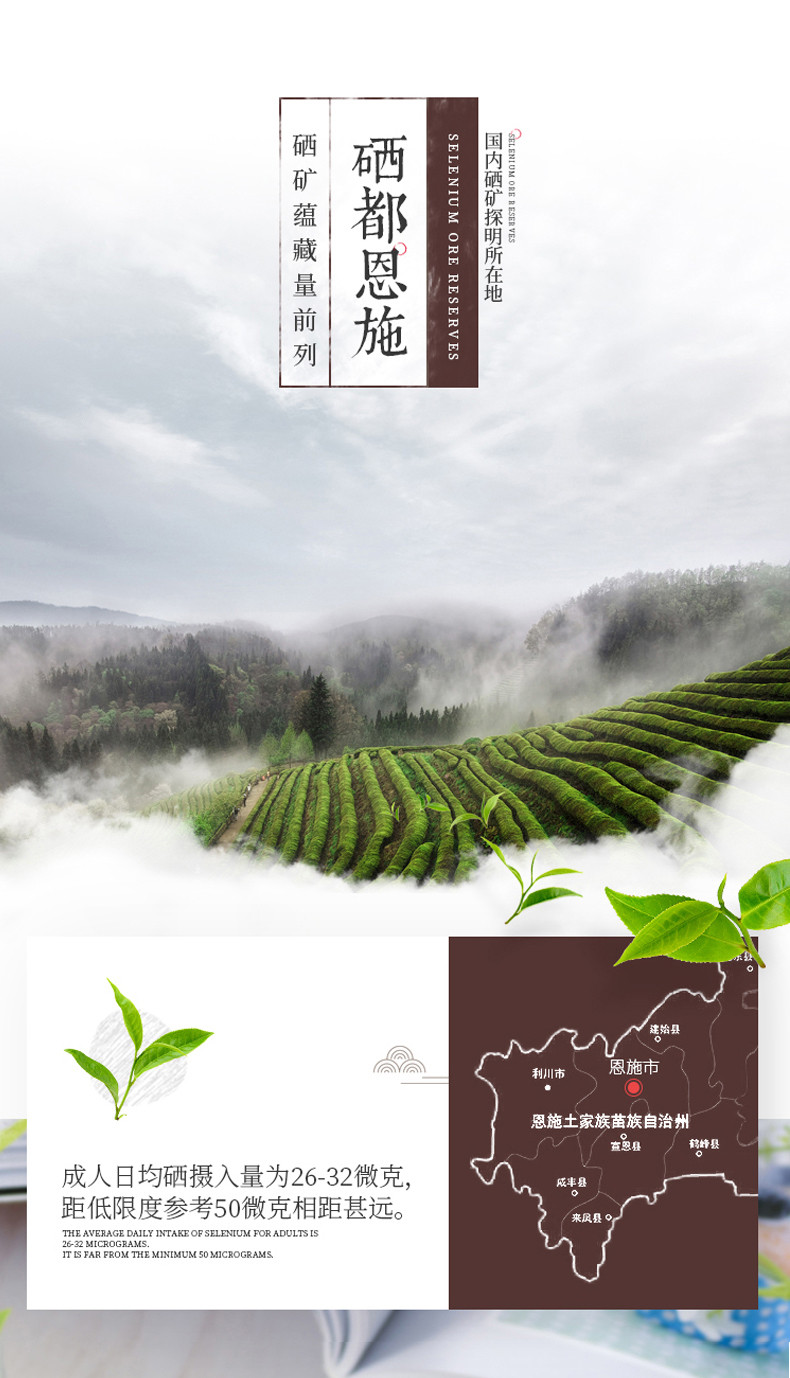 湖北恩施硒茶马坡十株炒青绿茶250g/2袋装