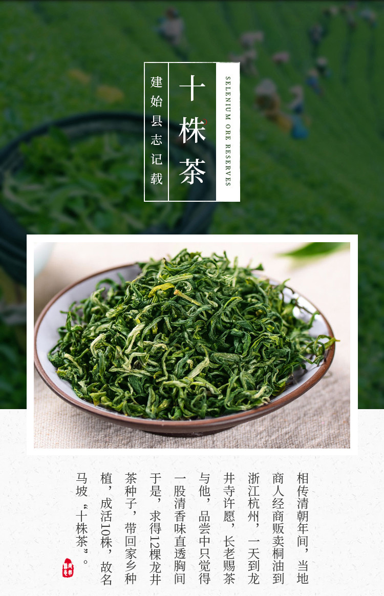 十株  湖北恩施硒茶马坡十株绿茶150g罐装