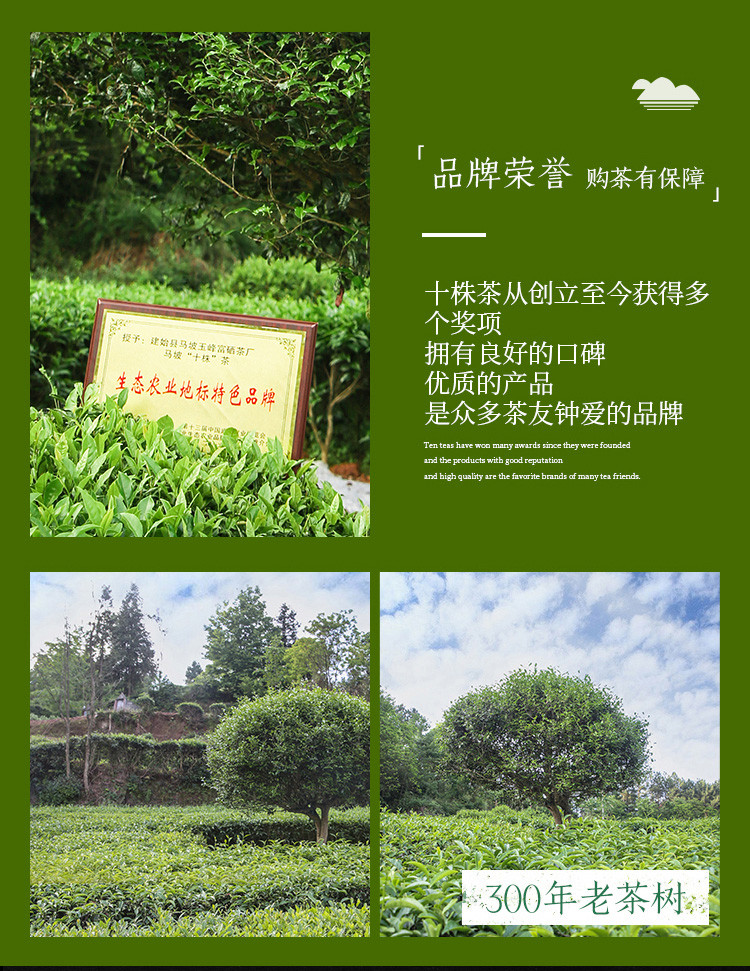 十株 湖北恩施硒茶马坡十株高山绿茶150g/罐