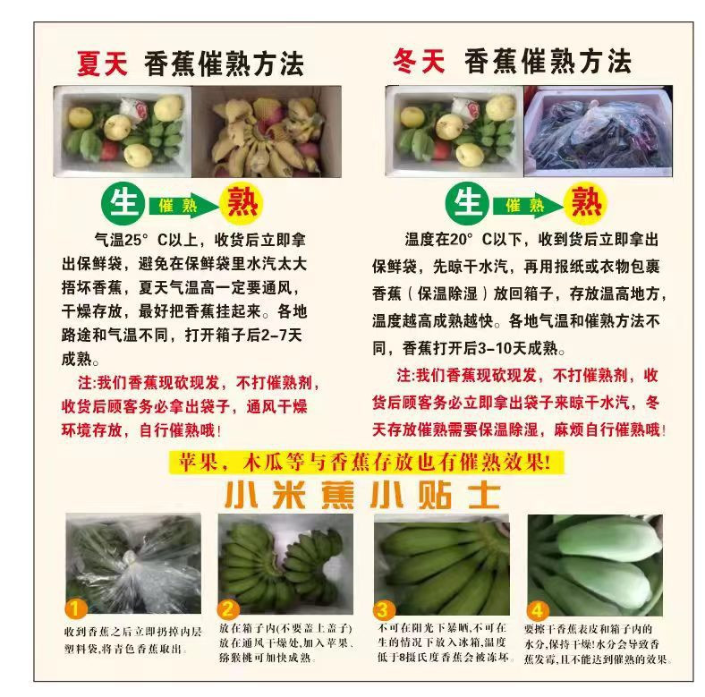 沃鲜汇 新鲜小米蕉粉新鲜水果水糯米蕉（需要催熟）【小店活动】