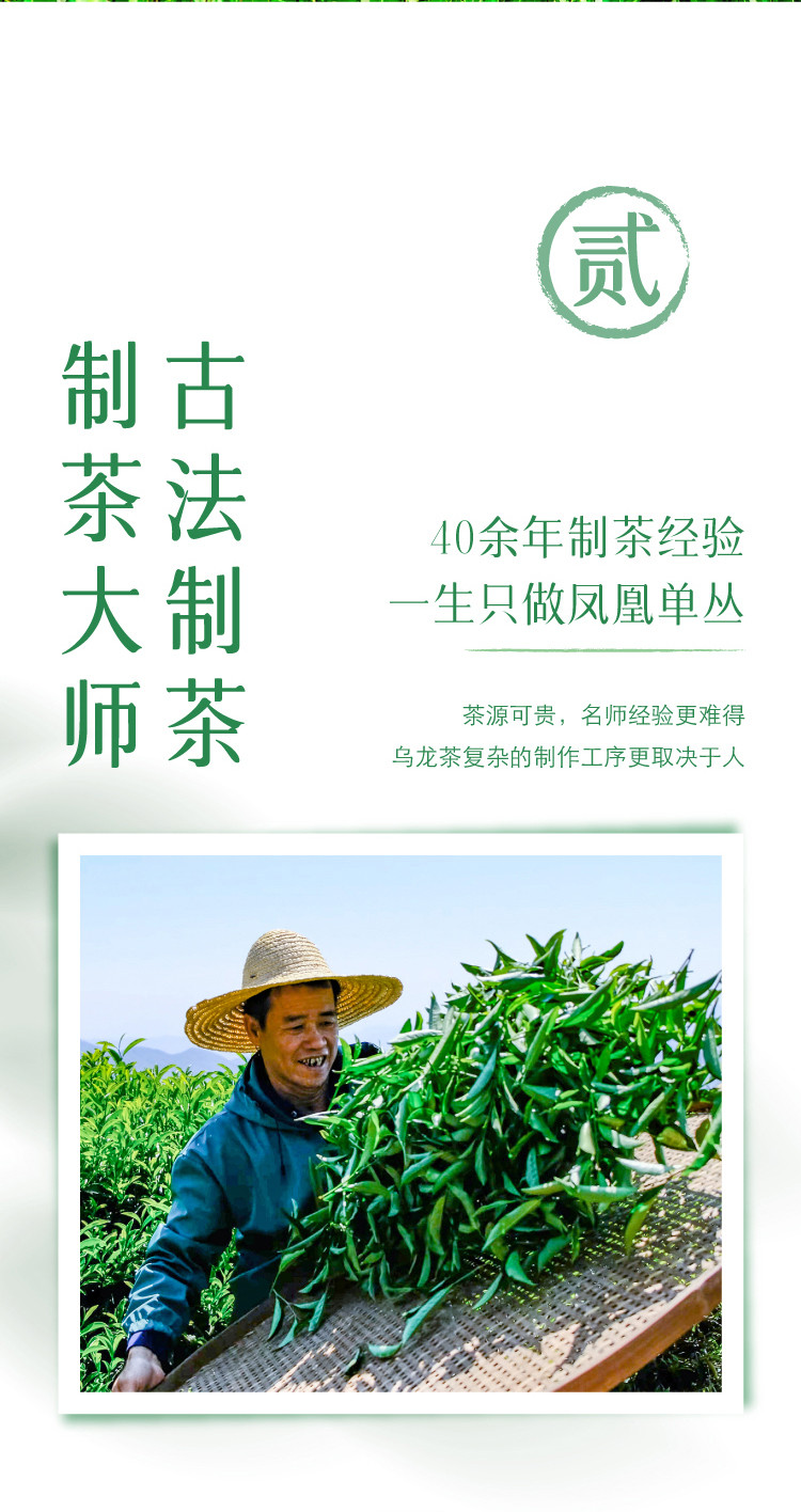 有丛气 广东潮汕工夫茶鸭屎香无糖0脂乌龙茶饮料