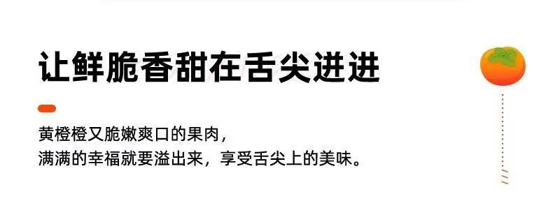 沃鲜汇 阳丰巧克力脆柿子新鲜水果脆甜硬柿子应季