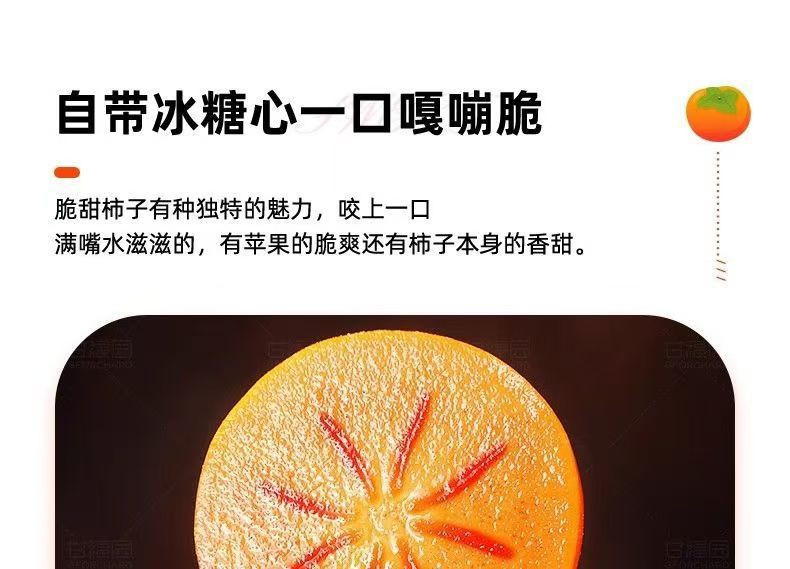 沃鲜汇 阳丰巧克力脆柿子新鲜水果脆甜硬柿子应季