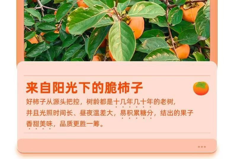 沃鲜汇 阳丰巧克力脆柿子新鲜水果脆甜硬柿子应季