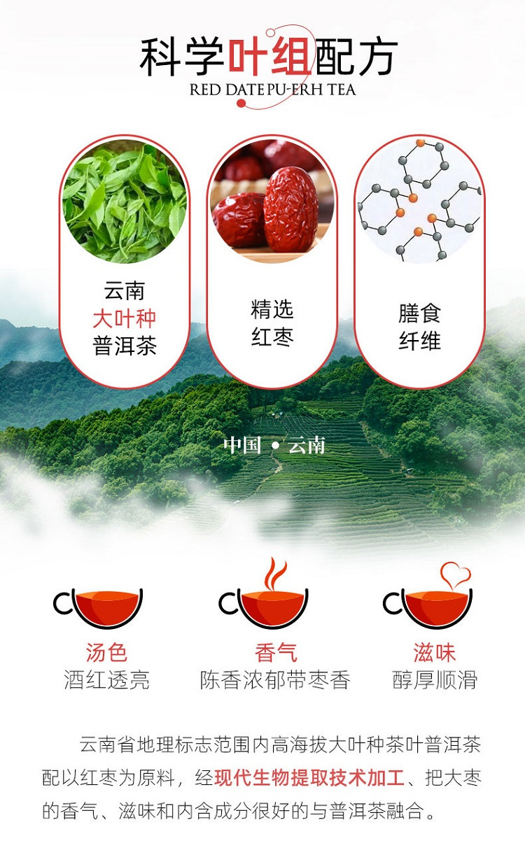 帝泊洱 普洱茶珍-红枣普洱 速溶茶粉