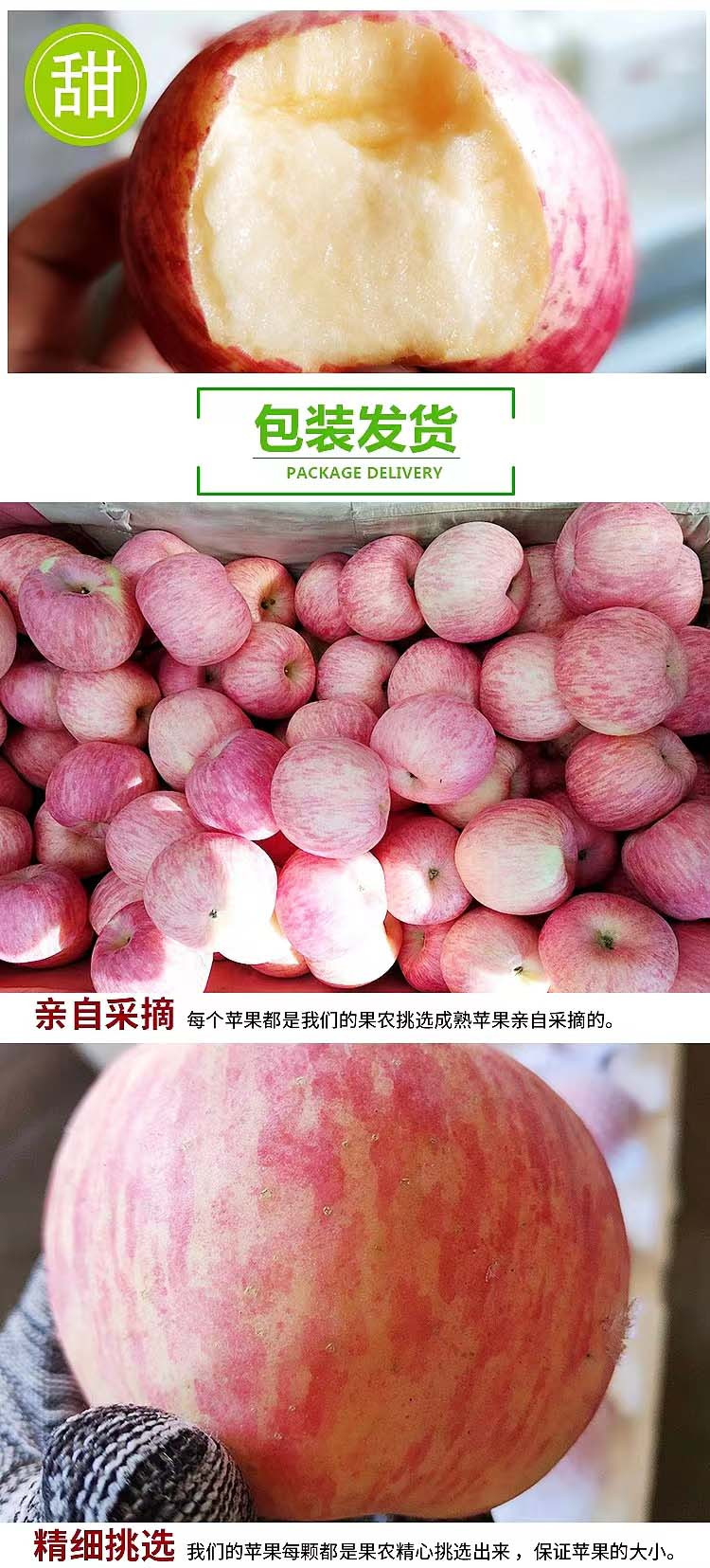 农家自产自销 烟台红富士苹果 大果（果径80-85左右）
