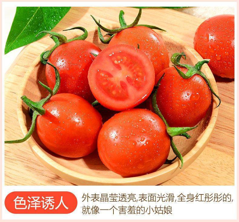 沧浪果香 圣女果小番茄樱桃小西红柿2斤水果
