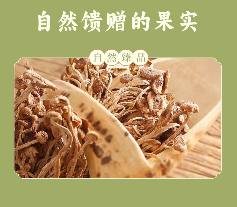 红乡记 精选茶树菇250g 未开伞干茶树菇 煲汤食用菌菇