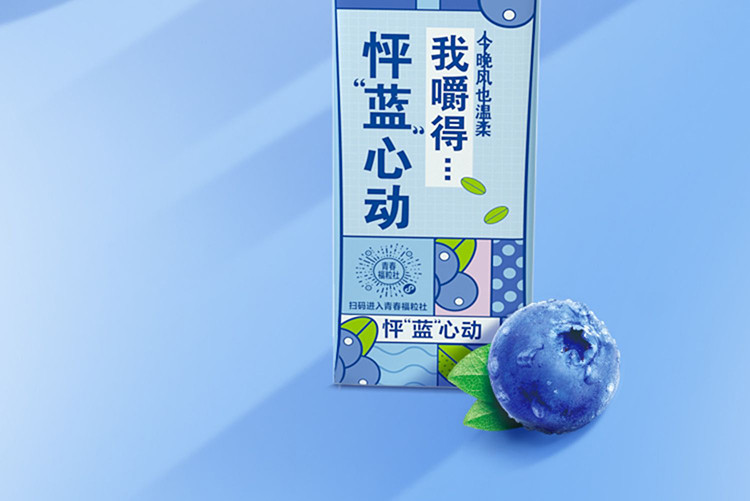 蒙牛 真果粒牛奶饮品（蓝莓）   250g*12盒