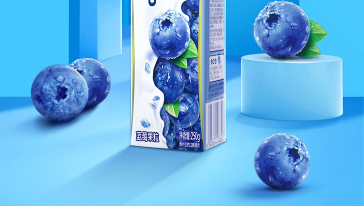 蒙牛 真果粒牛奶饮品（蓝莓）   250g*12盒