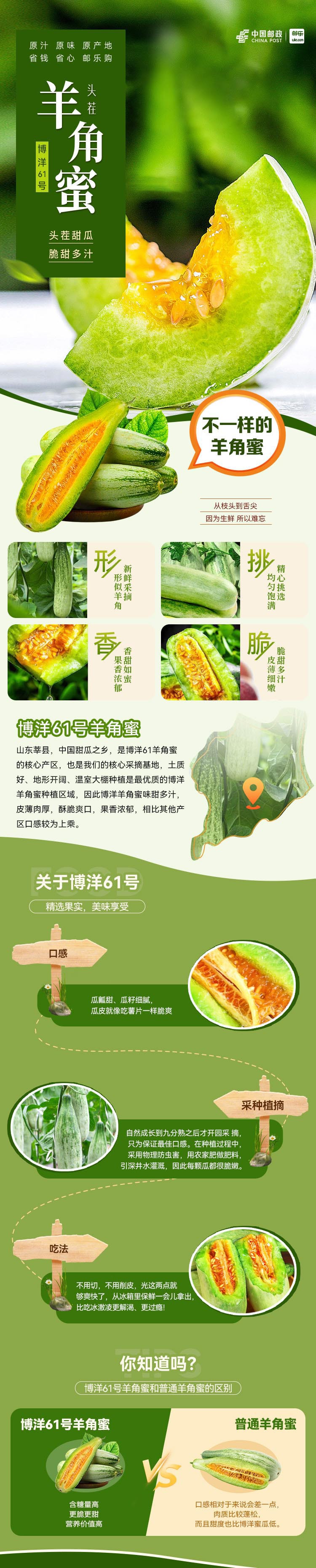 家佳惠 【领券立减】头茬博洋羊角蜜甜瓜3斤装，现摘现发