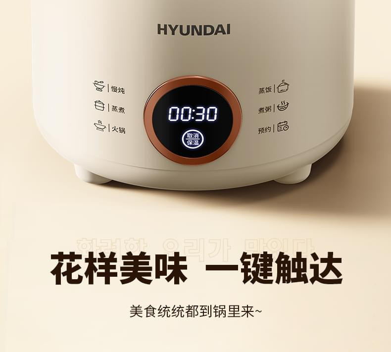 HYUNDAI 【邮乐官方直播间】电煮锅 智能触控多功能上蒸下煮电火锅2L