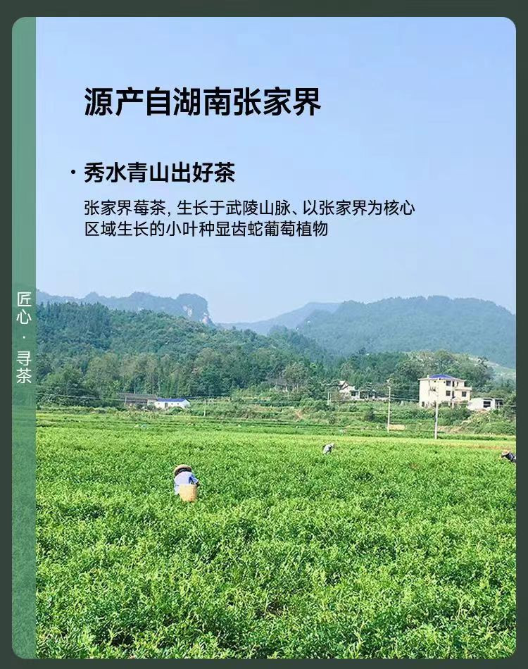 康来荟 张家界莓茶礼盒