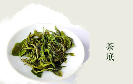 庆山春 英山云雾茶-250g袋装